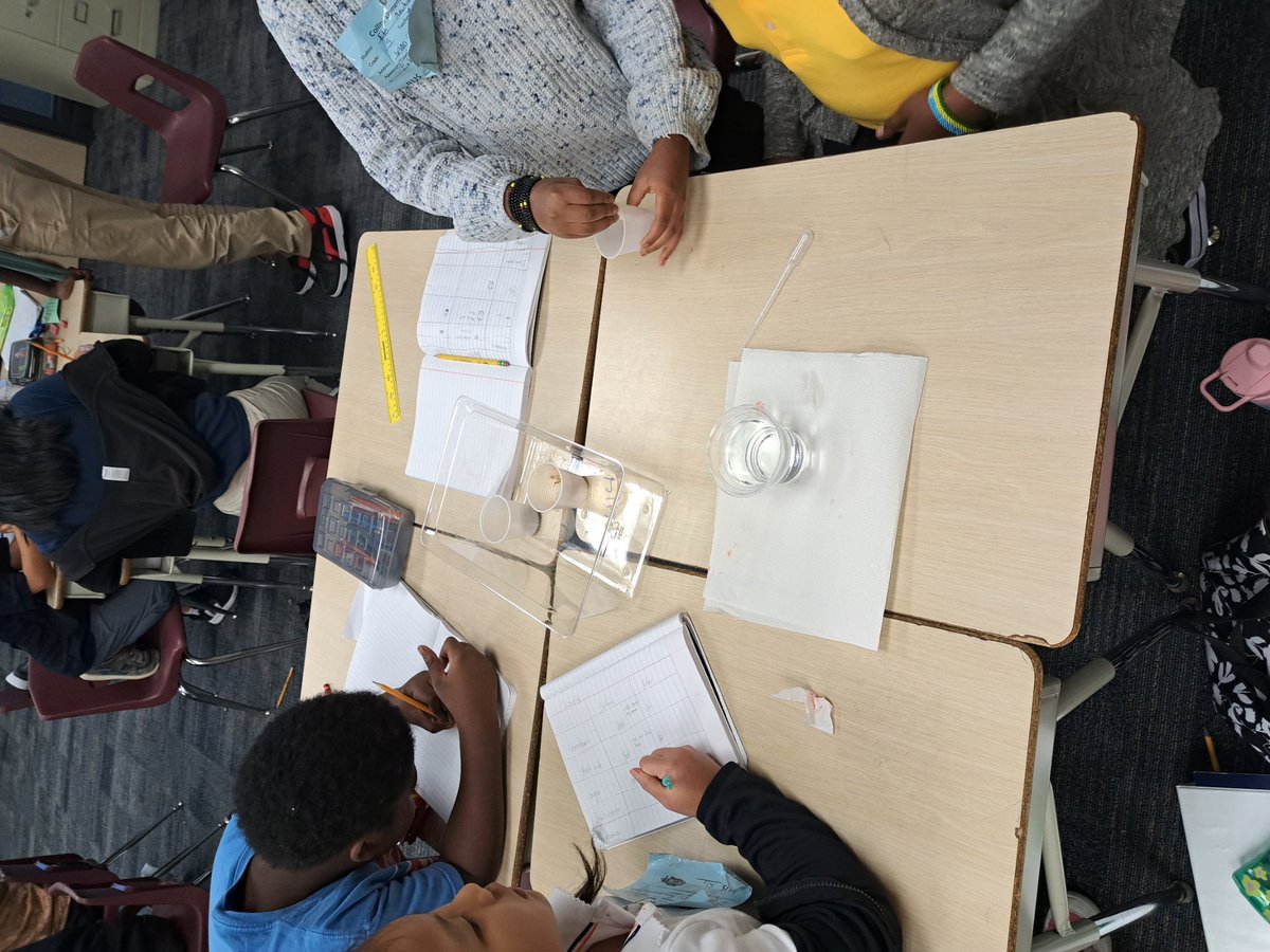 Tanula Godeau tweet media