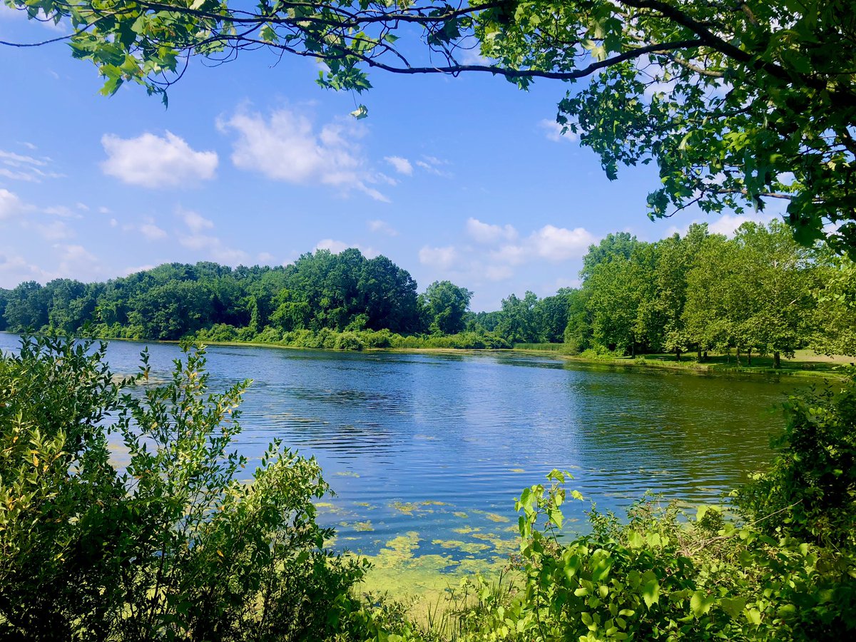 SusanRealtor21's tweet photo. Gorgeous #Michigan hiking scenery
#NatureBeauty https://t.co/NtF8QKHqjV