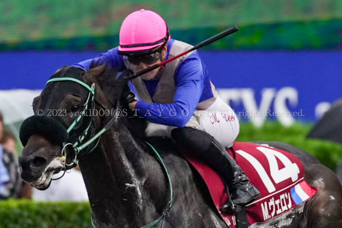 S_T_A_Y_G_O_L_D's tweet photo. 2023年8月27日
#WASJ第3戦
#WorldAllStarJockeys
優勝馬 #ナチュラルハイ ( #NaturalHigh )号
父 #スクリーンヒーロー
母 #ニシノシュクラン
騎手 #マリーヴェロン ( #MarieVélon ) @VelonMarie
調教師 #黒岩陽一厩舎
オーナー #山口裕介 さま
生産者 #村上欣哉 さま
#札幌競馬場
#SapporoRaceCourse https://t.co/xSdifMRDUB