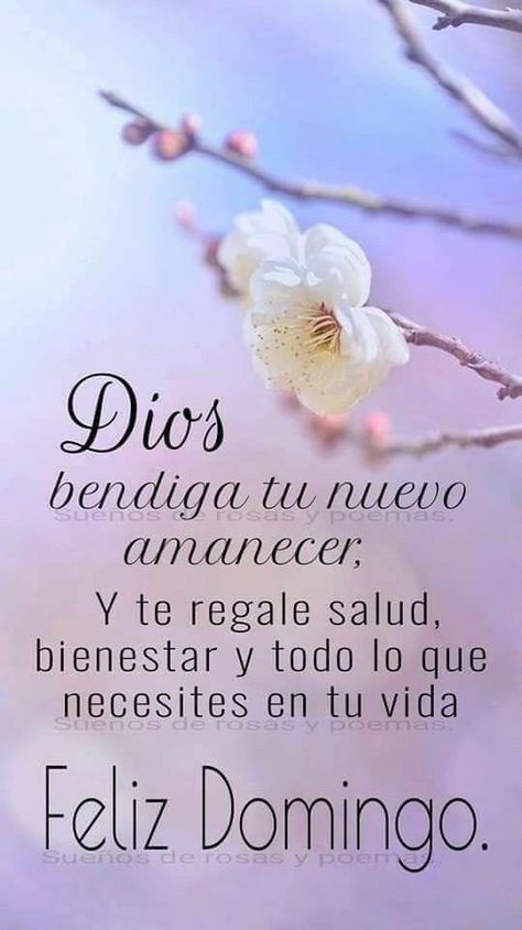 rus_ito's tweet photo. Feliz domingo familiar para tod@s @AnaisS203 @mivi44 @pinasdulces88 @Alvarex2808 @dairelysm20 @soteldoadriana8 @YuniBurgos @marbe789 @neyla_mt @magopuki @EGLEEGARCIA12 @Bombero2023
#TierraDePaz https://t.co/7PcCsEihKL