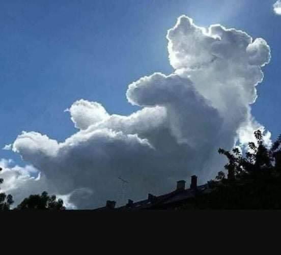 Bear CLAW (Center for Learning and Writing) tweet media