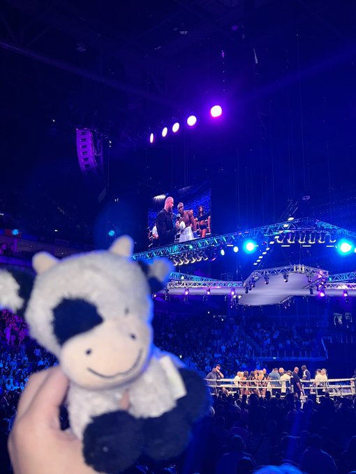 happy 1 year @MisfitsBoxing #misfits001 what a fun time it&rsquo;s been 🥰🥰 @skybri_ @RichelleKnupps @lola0F<a class="tags" target="_blank" title="On Twitter" href="/?out=eyJ0eXAiOiJKV1QiLCJhbGciOiJIUzUxMiJ9.eyJpYXQiOjE3MjIyMjQyMzgsImlzcyI6InR3cG9ybnN0YXJzLmNvbSIsIm5iZiI6MTcyMjIyNDIzOCwiZXhwIjoxNzUzNzYwMjM4LCJyZWRpcmVjdF91cmwiOiJodHRwczovL3R3aXR0ZXIuY29tL01pc2ZpdHNCb3hpbmcifQ.hAjZI1_cZhecBXTIj7wkdC3lxPlvxzBcI5RCF9nZ8OIVoAThLrwVkWTkjSKRJUdoZSLElJjHt07RB_KPd4lDvg">@MisfitsBoxing</a><a href="/tag/misfits001"class="tags">#misfits001</a><a href="/tag/lilmoolinax"class="tags"><span>#lilmoolinax</span></a>