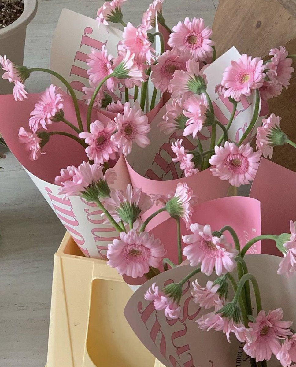 piinkibun's tweet photo. pink pretty flowers <3 https://t.co/Ar9etJyxpC