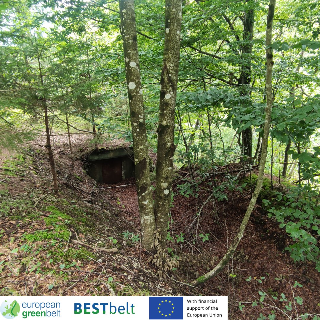 ReteItalia_EGB's tweet photo. Lusevera #EuropeanGreenBeltTrail is an easy hike through our #BESTbeltProject intervention sites.From bunkers hidden in the woods to beautiful meadows, with two gourmet pit-stops at Rifugio Pian dei Ciclamini and La AleGra.
#europeangreenbelt #egb #eu_env  #riegb #fvg  #EGBtrail https://t.co/NrQX6oW311