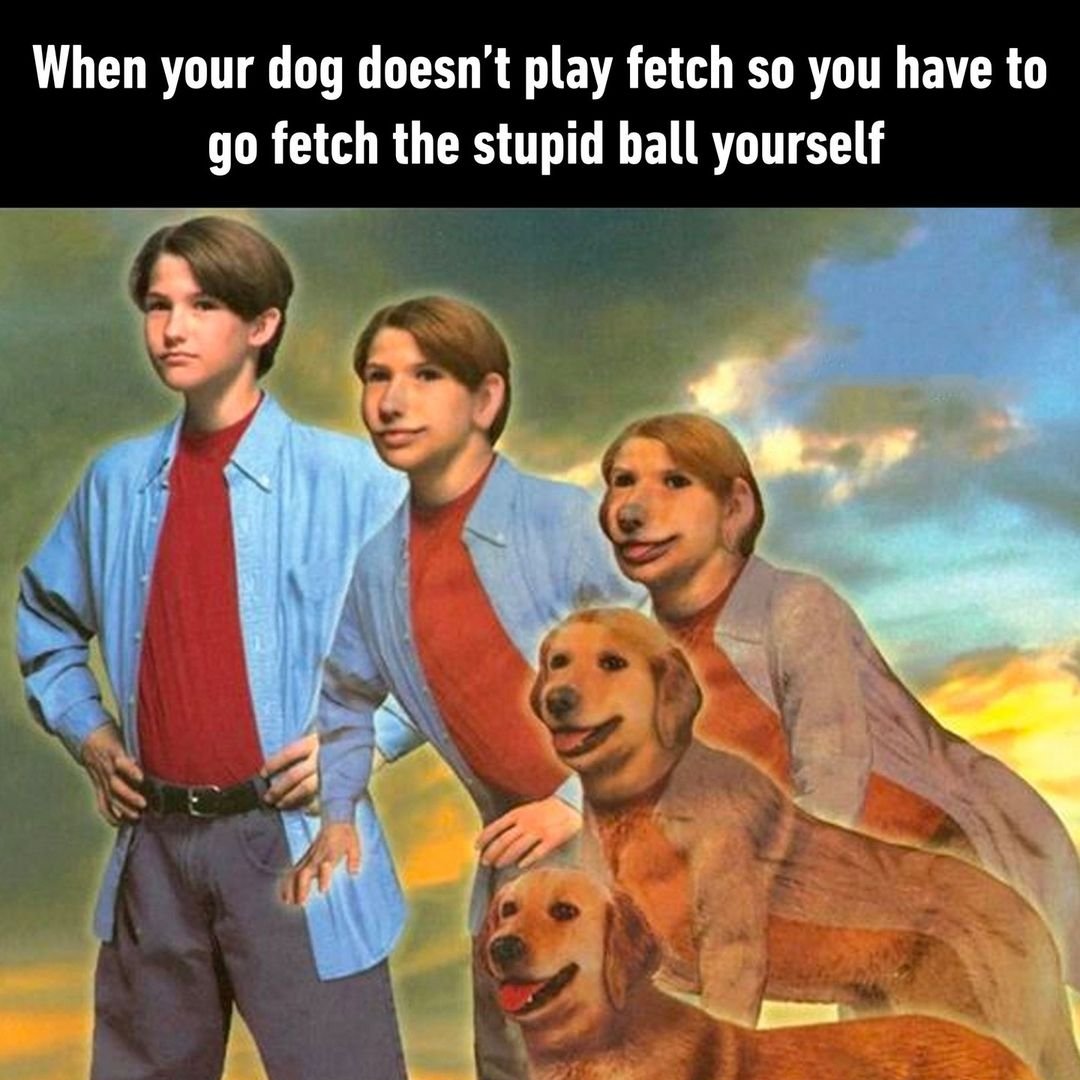 Meme Retriever tweet media