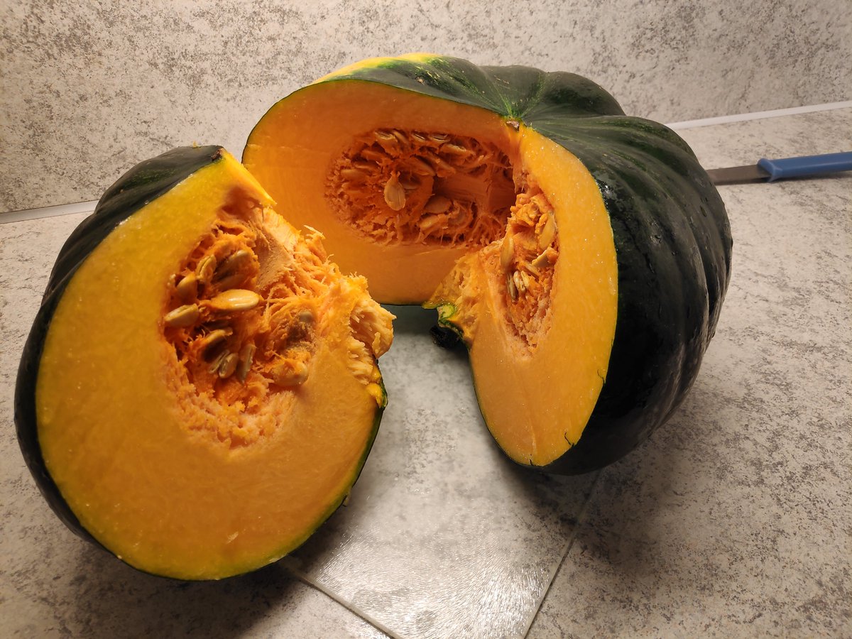 KarinDeRoos's tweet photo. Iemand zijn in een kopje pompoensoep? Deze rakker weegt zeker 10 kg 😳 https://t.co/zn4zRkzelr