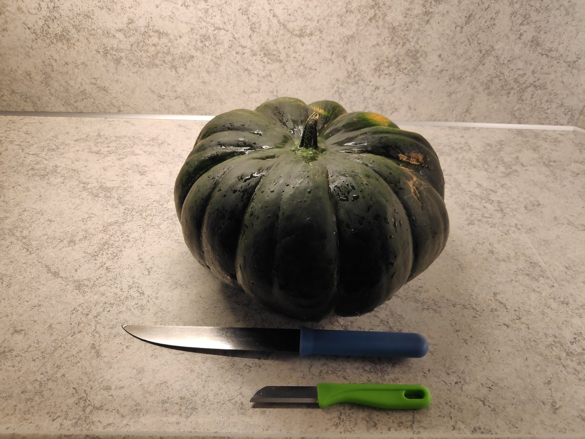 Iemand zijn in een kopje pompoensoep? Deze rakker weegt zeker 10 kg 😳
