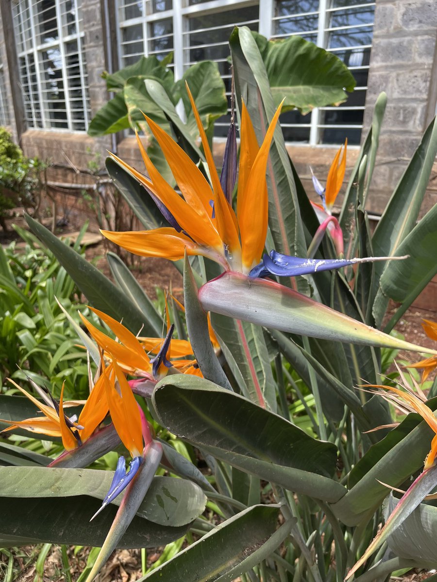 Maya Creates tweet media