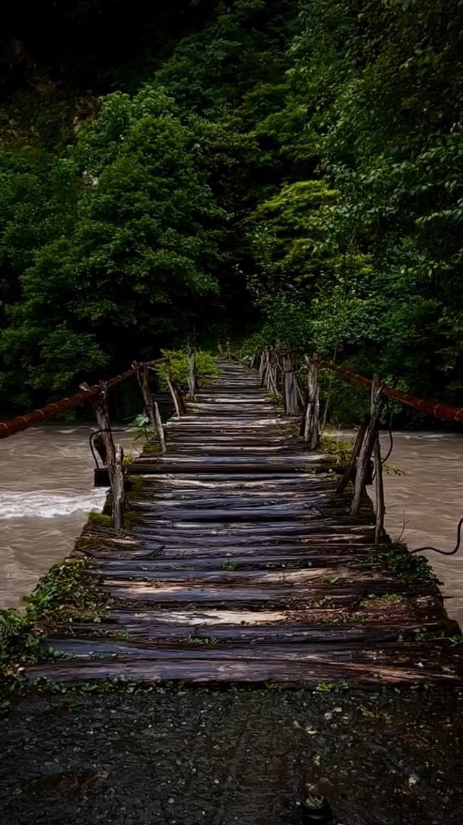 🌿Today's location is picture-perfect. The perfect beginning and end to your day.

#CryptoCommunity #Cryptocurrency #CRYPTONEWS