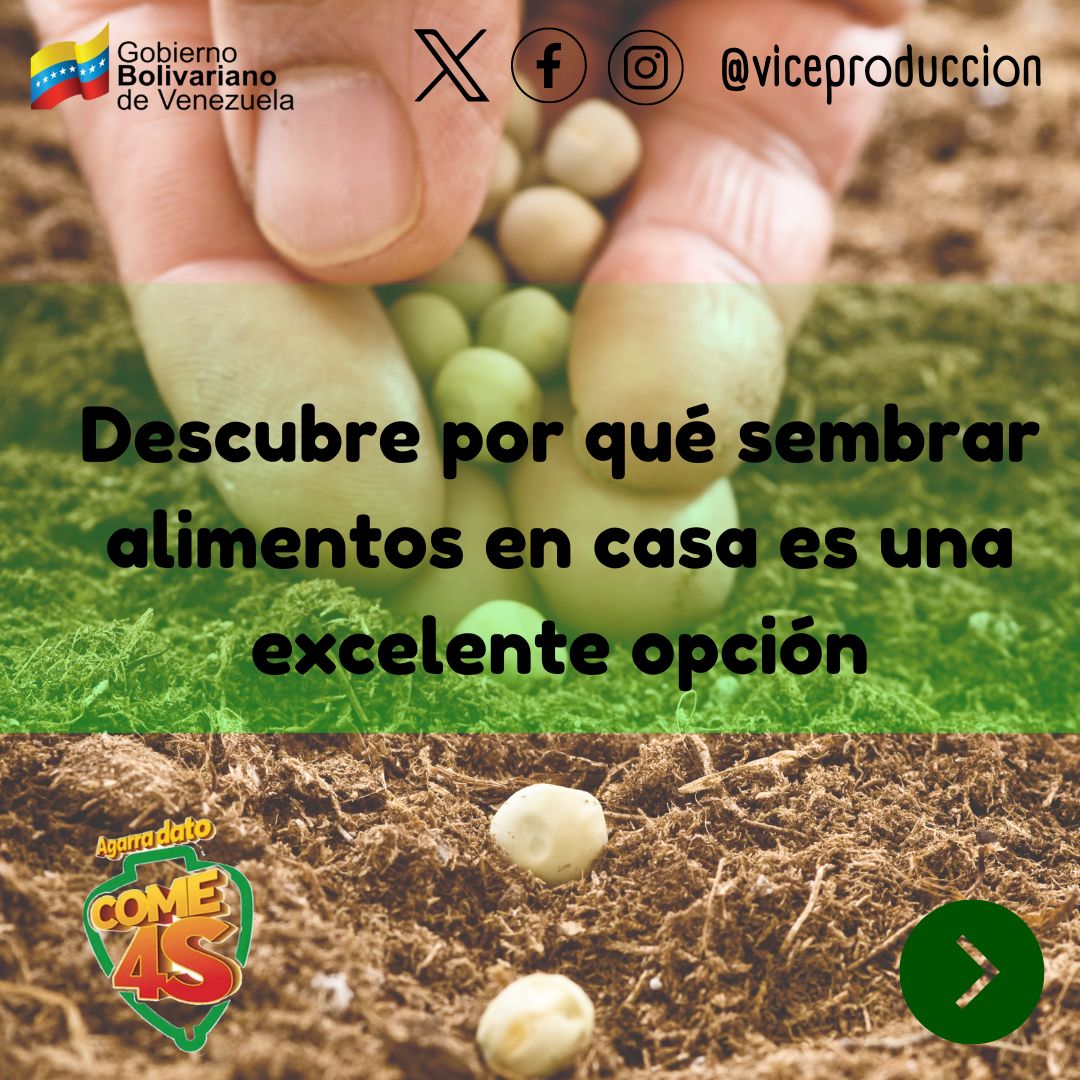 viceproduccion's tweet photo. #27Ago | #AgarraDatoCome4S | El @InnVenezuela nos regala una lista de los beneficios que aporta sembrar en casa.

Comer alimentos orgánicos es muy beneficioso para nuestra salud 👋

#come4s #alimentaresvencer #sembrarencasa #alimentosorganicos #comersano #TierraDePaz https://t.co/n6DqhVayKE