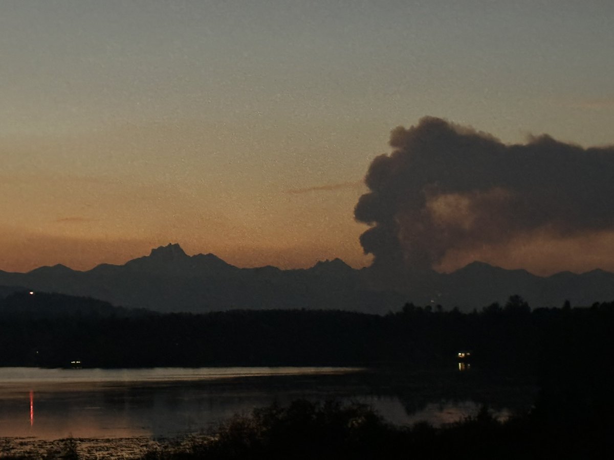 Nathan Cullen tweet media