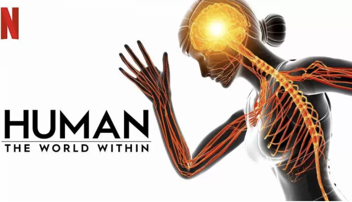 katiewrites888's tweet photo. Watching the documentary 'Human: The World Within' on Defend, very interesting. Worth a watch if you want to learn more about how the body works.

Cancer's a bitch 🙄

#HumanTheWorldWithin #Documentary #Defend #netflix https://t.co/AgVksnDQ36