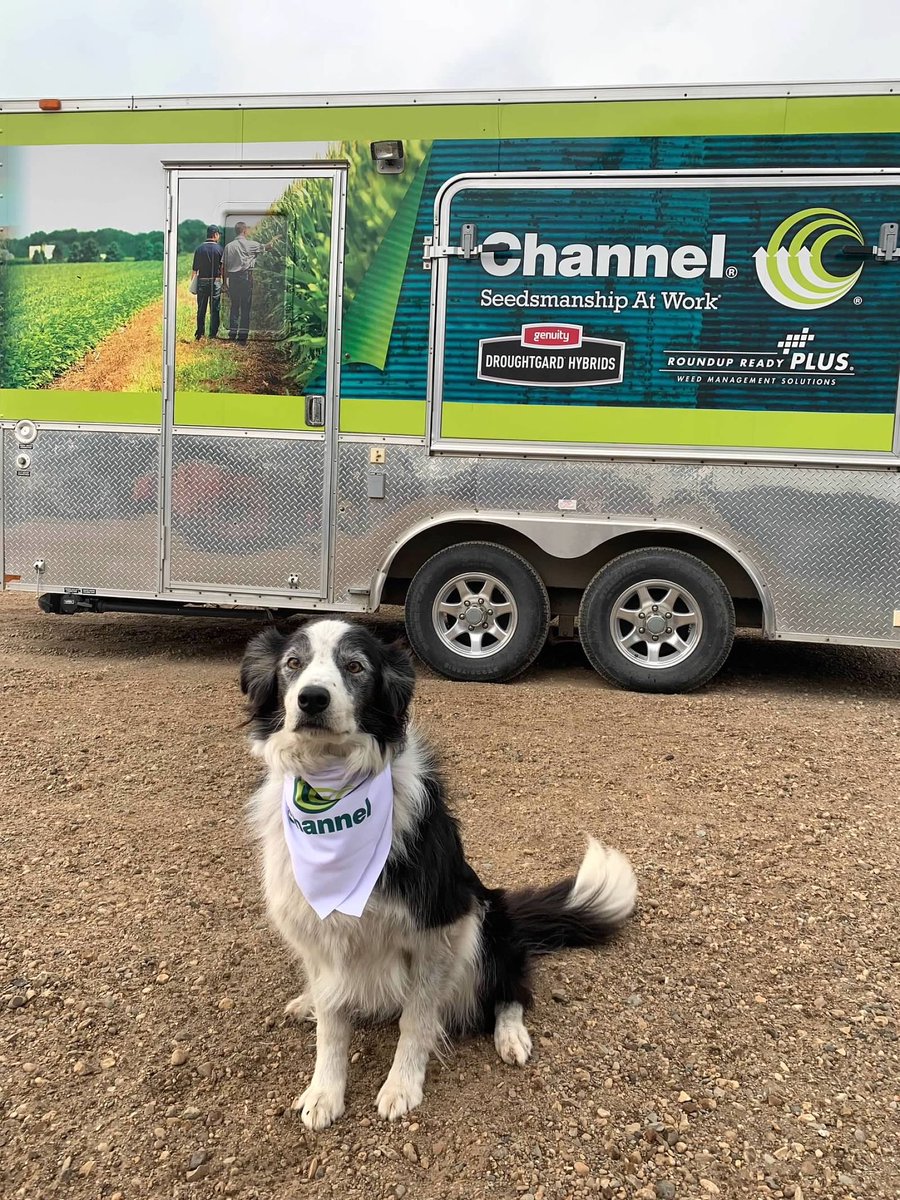 Happy National Dog Day to our favorite pup! <a href="/ChannelSeed/">Channel Seed</a>