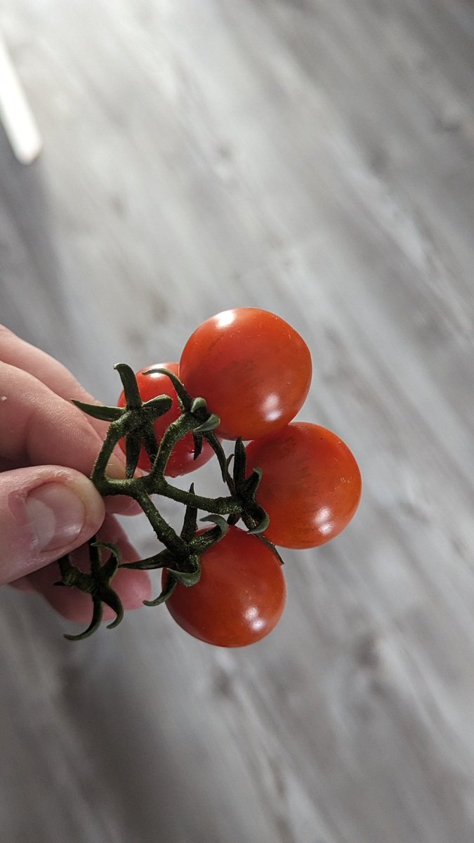 ChrisyCee90 🏴󠁧󠁢󠁳󠁣󠁴󠁿 tweet media