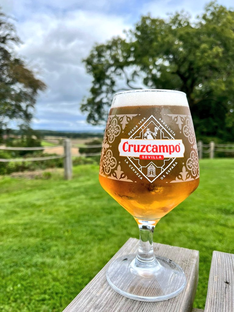 PintsBeauty's tweet photo. Stunning pint of Cruzcampo at The Why Not Inn, Redditch 😍 https://t.co/htC0BCAHHW