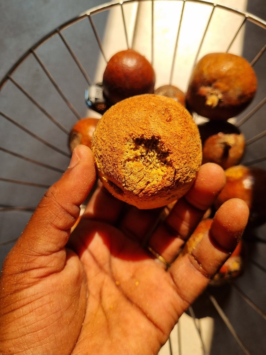 Ndinandali's tweet photo. Eating Endunga is also associated with a number of health benefits, including improved digestion, lower cholesterol, and reduced risk of heart disease. https://t.co/PIoIcMXo49