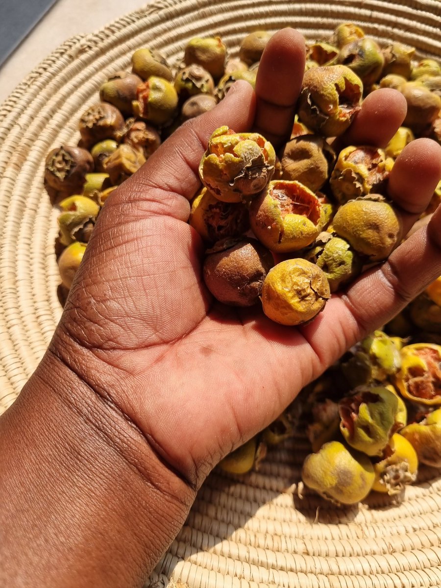 Ndinandali's tweet photo. So, the next time you’re looking for a healthy and sustainable snack, reach for traditional dry fruits of palm tree and eenyandi. https://t.co/tJmQ9hW6rc