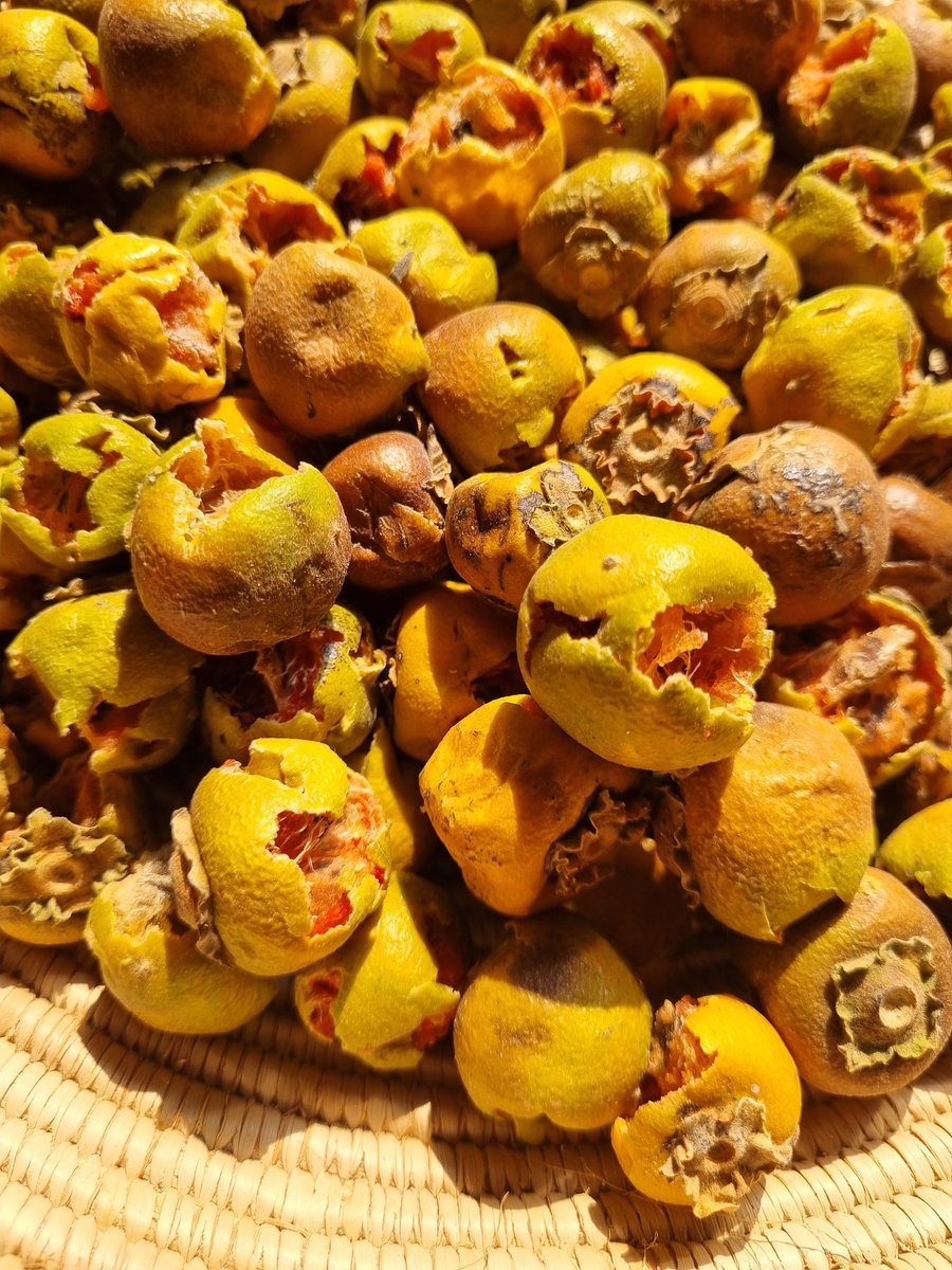 Ndinandali's tweet photo. Not only are they incredibly delicious, but they are also incredibly nutritious and sustainable, making them the perfect choice for Sunday . https://t.co/emojqDoNd1