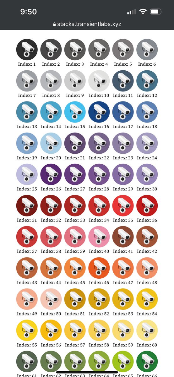 Mondoggg tweet media