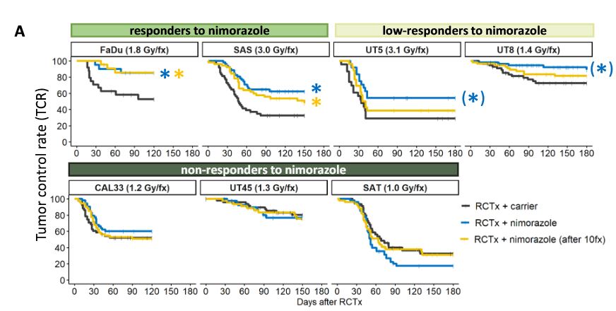 Henning Willers, MD, FASTRO tweet media