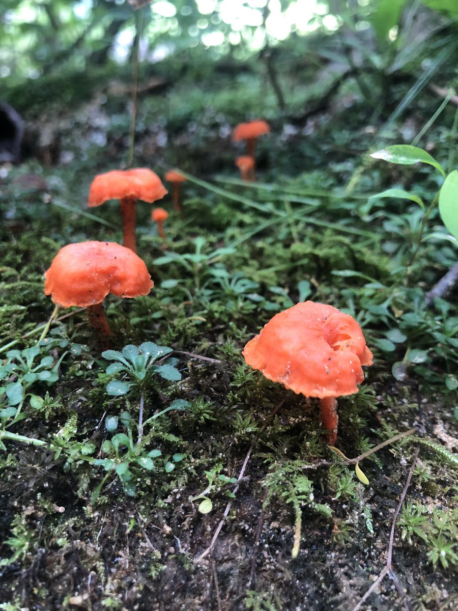 Beautiful day out with my lads yesterday