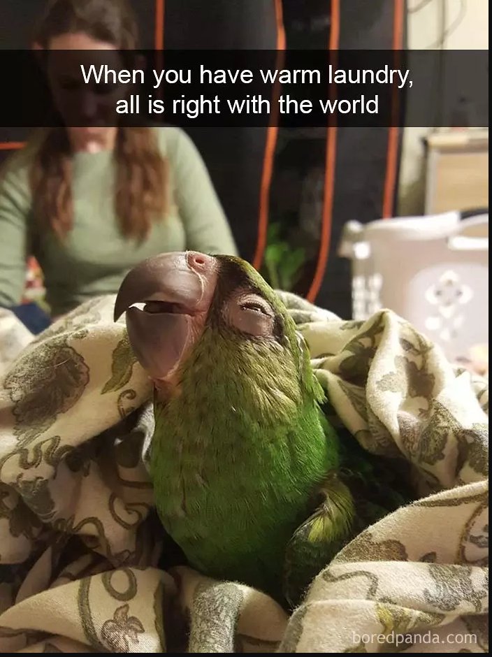 Als het lekker warm is, is het all right in de wereld.