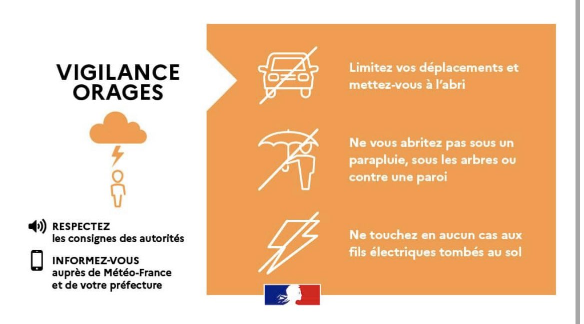 marika roman tweet media