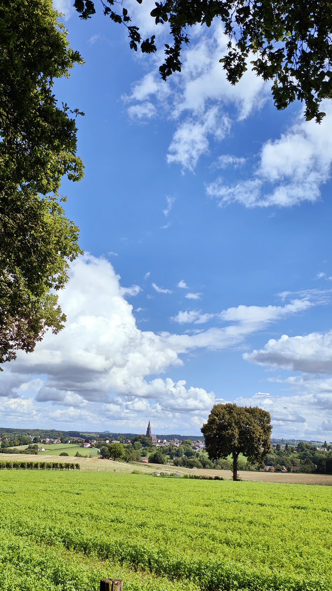 Wat een zondag hè? 👍