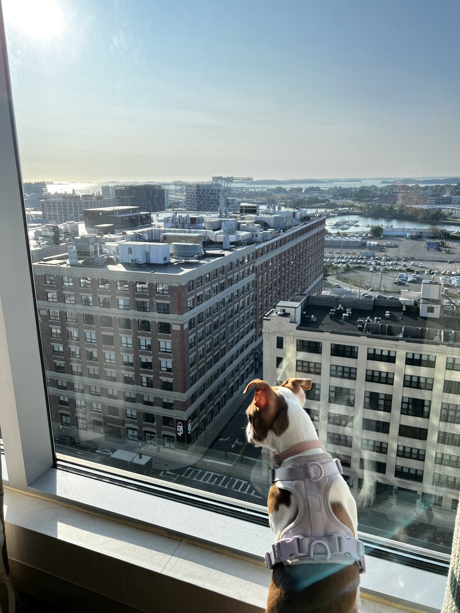 Sonia Minhas tweet media