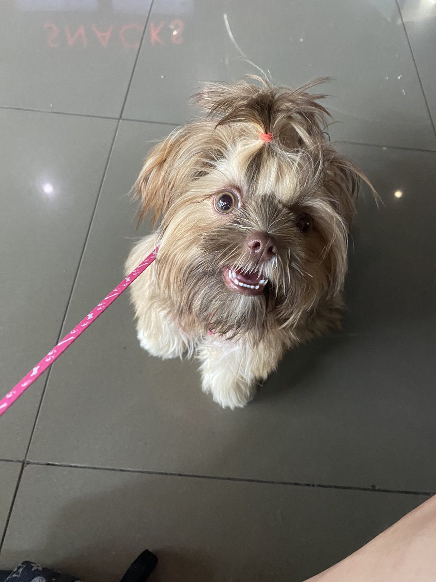 yemyemacake's tweet photo. cutie naman mga anak ko 🥹 https://t.co/t8hsCjPRZH
