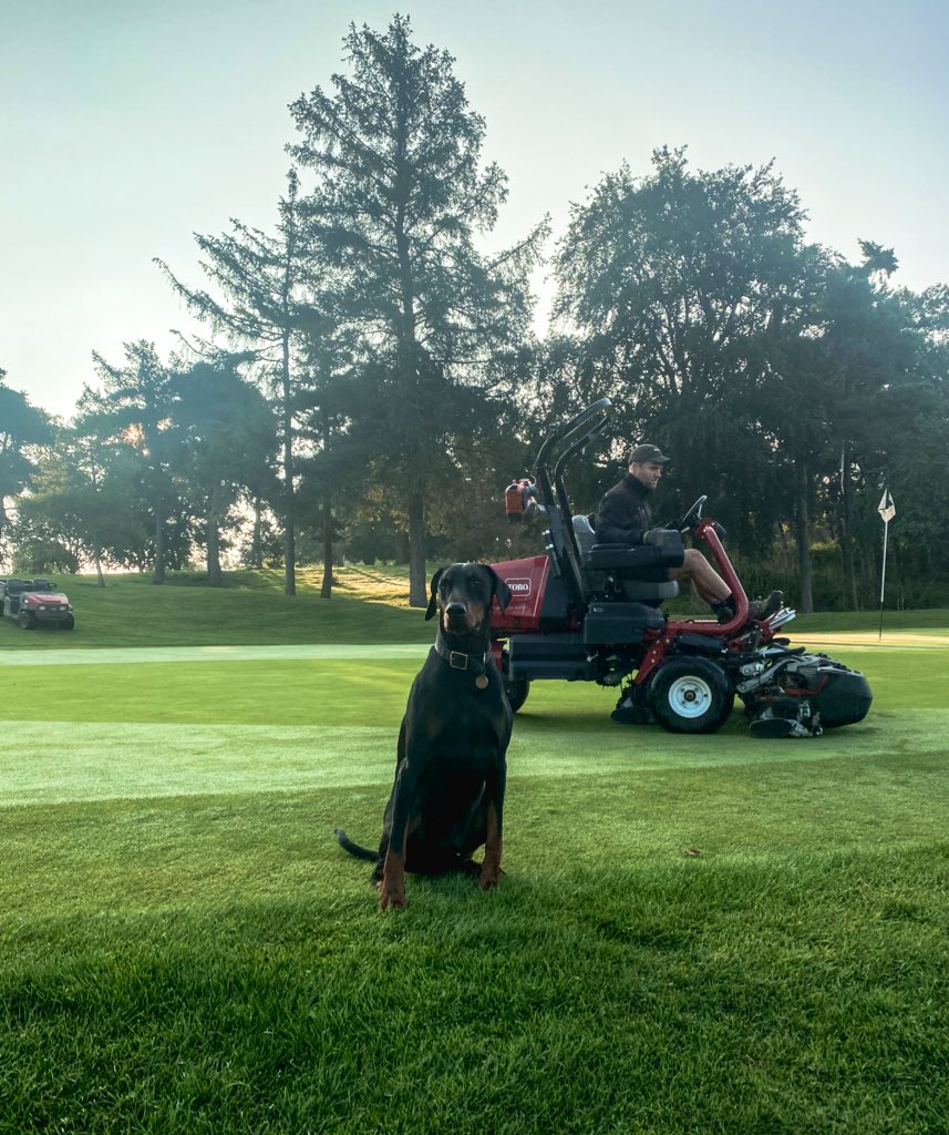 I wonder if they’d be less pitch marks
If I had Odin patrolling  🤔 <a href="/DogsOfTurf/">Dogs Of Turf</a>
