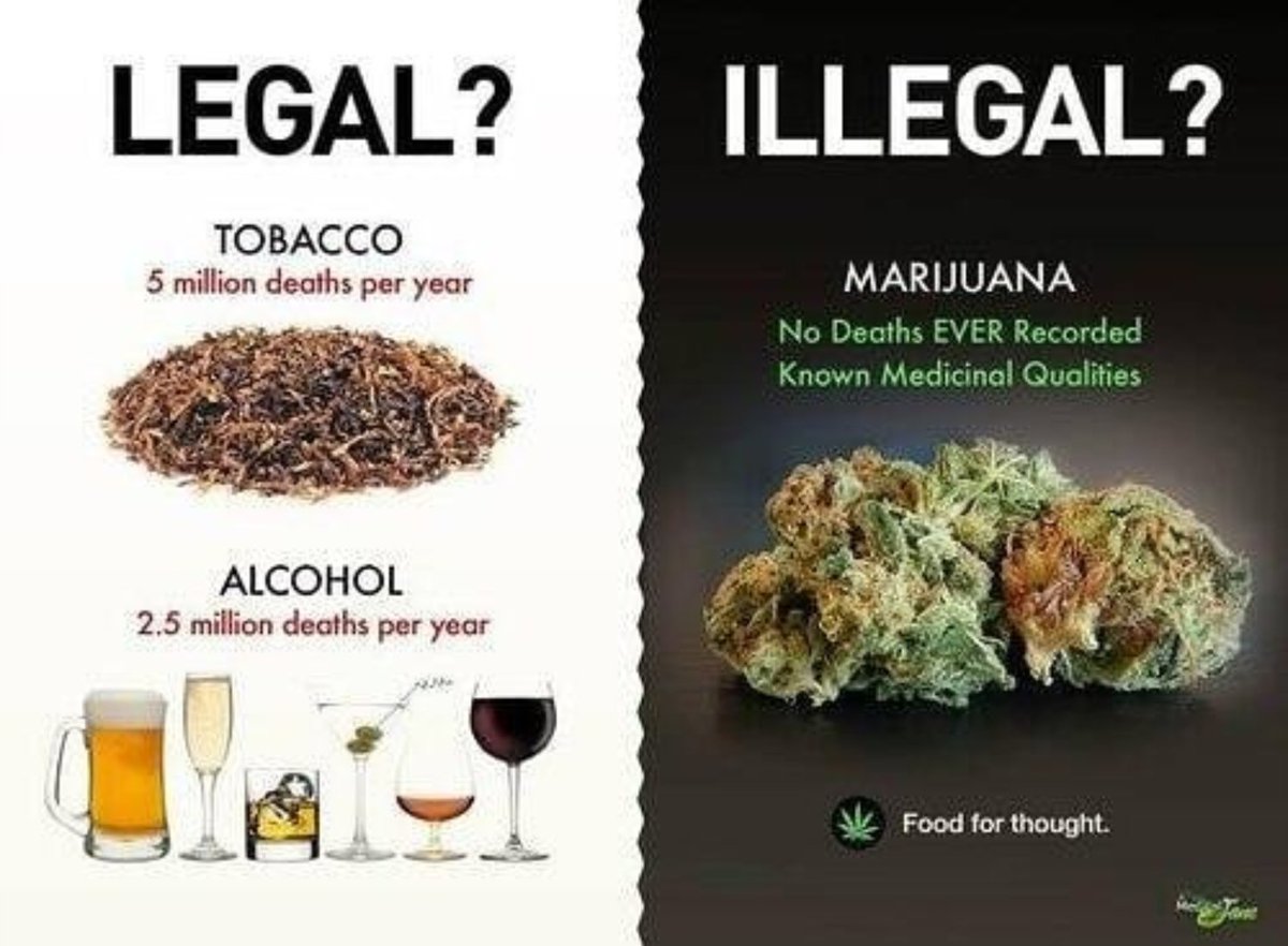 APsychedelics's tweet photo. Legal? 🚬 🍻
Illegal? 🌳🌱 https://t.co/o6Zu7Q0vXF