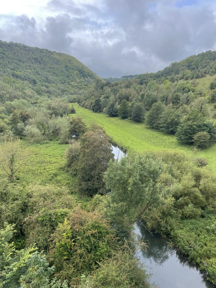 A lovely 12 mile walk with my walking buddies today.  This pic is from the Monsal Trail viaduct. #AHPsActive <a href="/WeAHPs/">WeAHPs 💙</a> <a href="/DerbyOT/">Derby OT</a>
