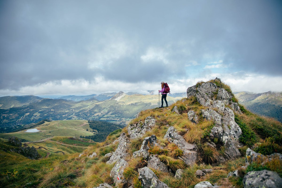 hellolaroux tweet media