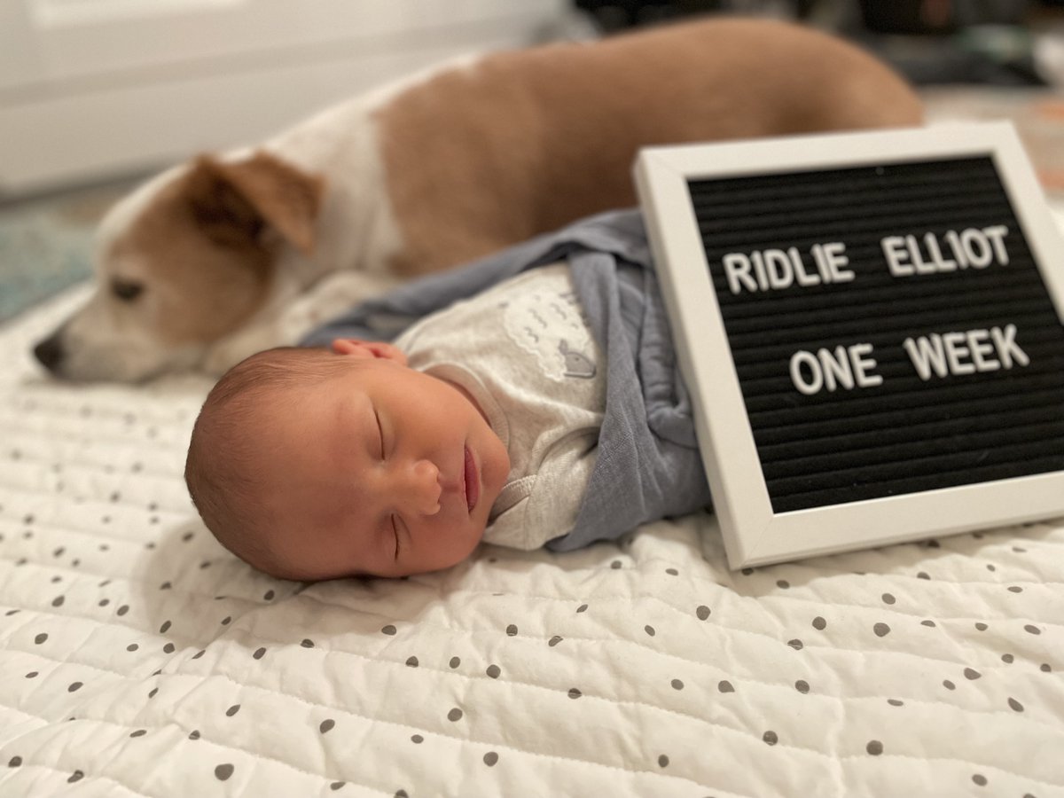 frameworkfitz's tweet image. Welcome to the world, Ridlie Elliot Freeman-Rein.
Born July 27, 2023 at 11:44am. 7 lb 11 oz. 

Every day has been a new adventure. I look forward to learning and growing alongside you through whatever the world throws at us. 🥚