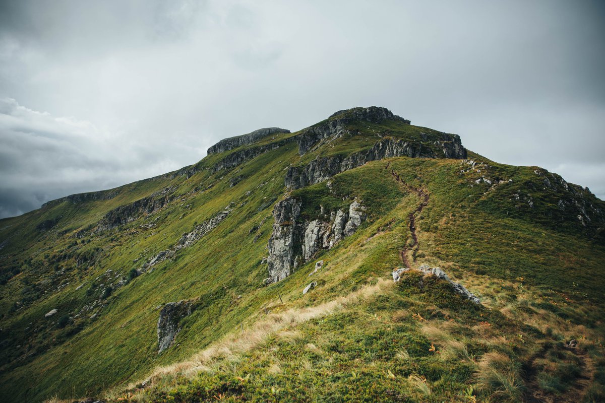 hellolaroux tweet media