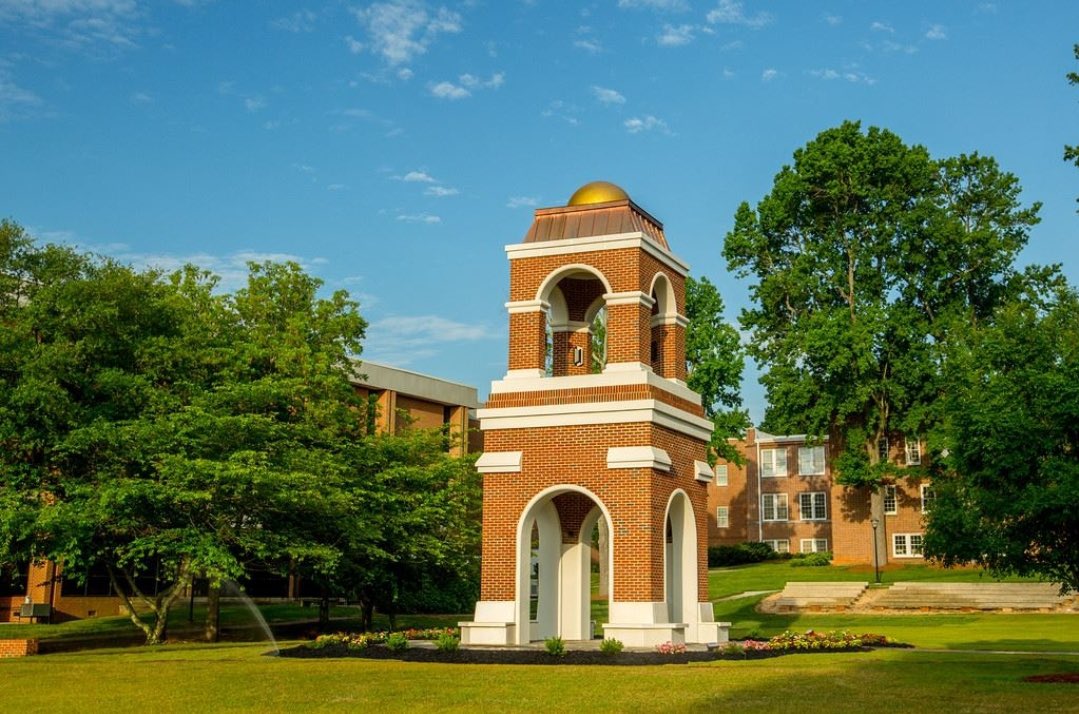 Macey Shipp tweet media