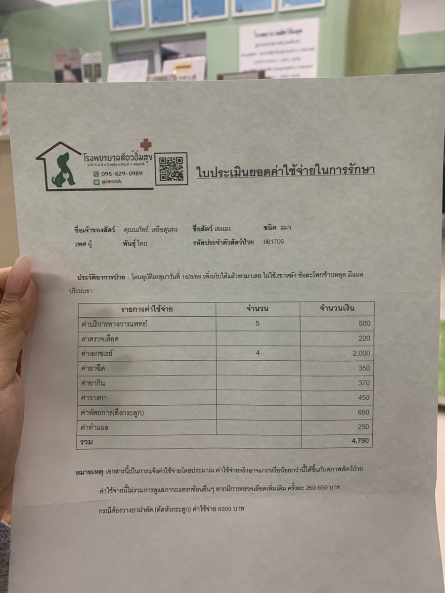KanomBunnyPeach's tweet photo. เรารบกวนรีทวิตหน่อยนะคะ เรามาขอรับบริจาคค่ารักษาน้องแมวจร คาดว่าน้องจะโดนรถเหยียบเพราะเจอน้องอยู่กลางถนนค่ะ
อาการ กระดูกหลุดแทงทะลุขาหลังออกมา

เราอยากให้น้องกลับมาเดินเป็นปกติให้ได้ไวที่สุด เลยอยากรบกวนและขอความช่วยเหลือค่ะ ช่วยน้องด้วยนะคะ 😭 https://t.co/EjSF4vjC7d