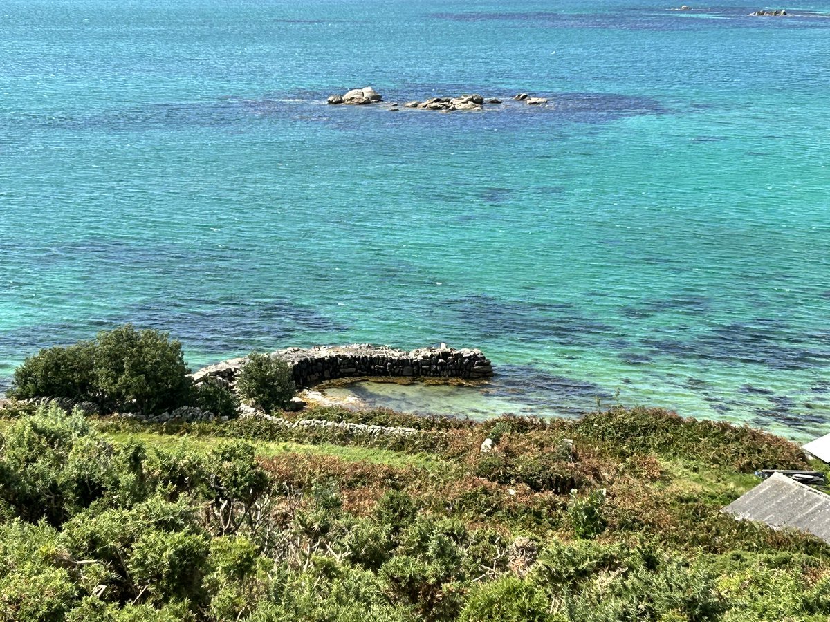 Neil Powell💙 tweet media