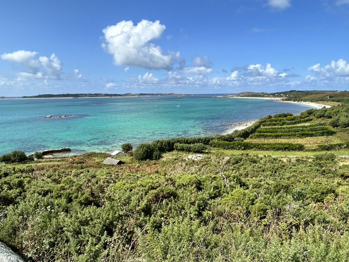 Neil Powell💙 tweet media