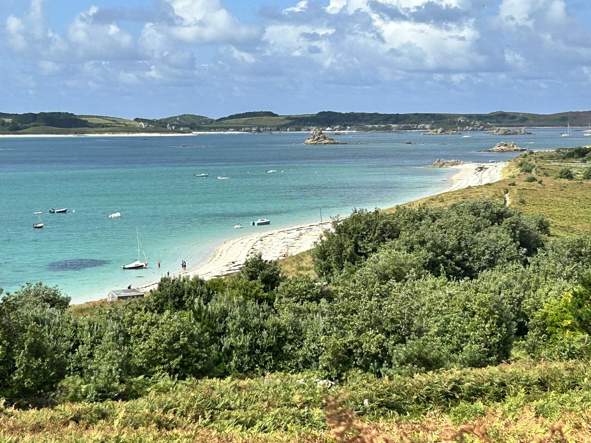 Neil Powell💙 tweet media