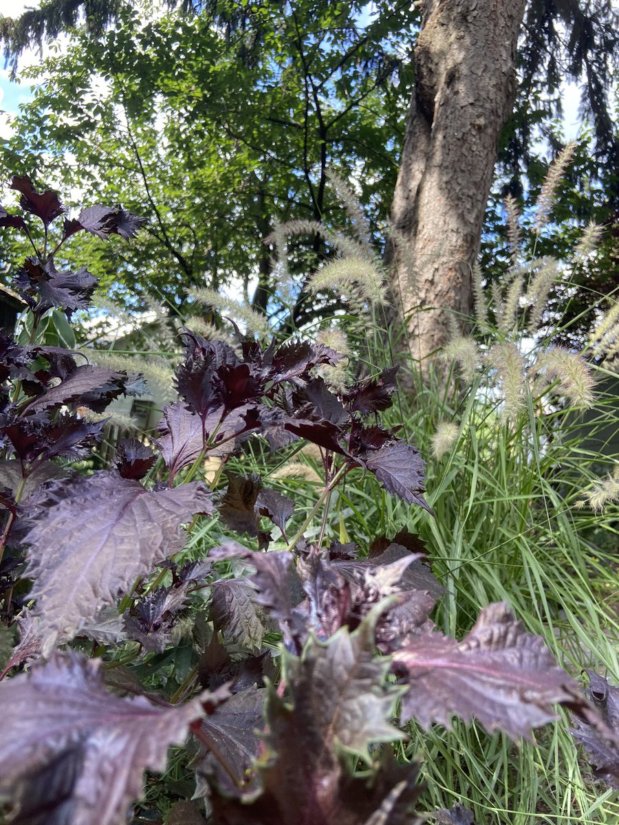 Deborah Lynam tweet media