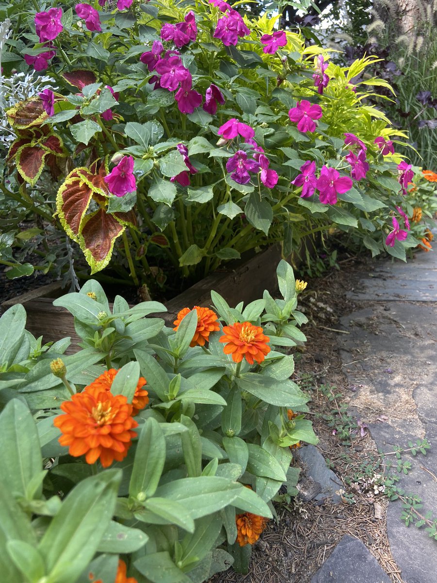 Deborah Lynam tweet media