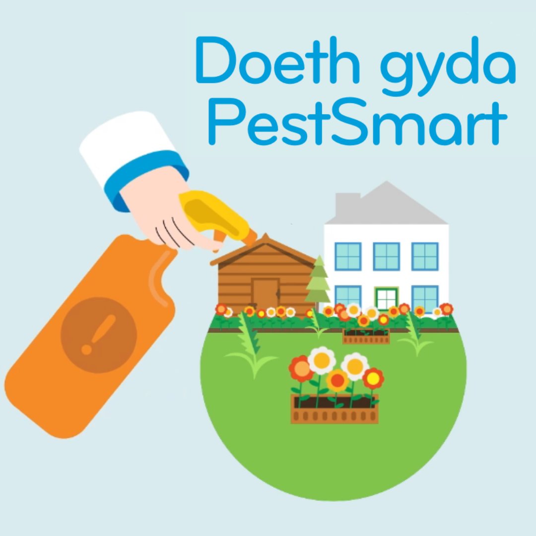 DwrCymru's tweet photo. Os ydych chiโn defnyddio plaleiddiaid yn eich gardd, maeโn bwysig iawn eu storio nhwโn gywir โ ๏ธ
Ewch draw i wefan #PestSmart i ddysgu beth iโw wneud โ
a beth i beidio รขโi wneudโ i helpu i warchod yr amgylchedd.
๐ https://t.co/hvHBbrcNPv https://t.co/ye2aSekoqY