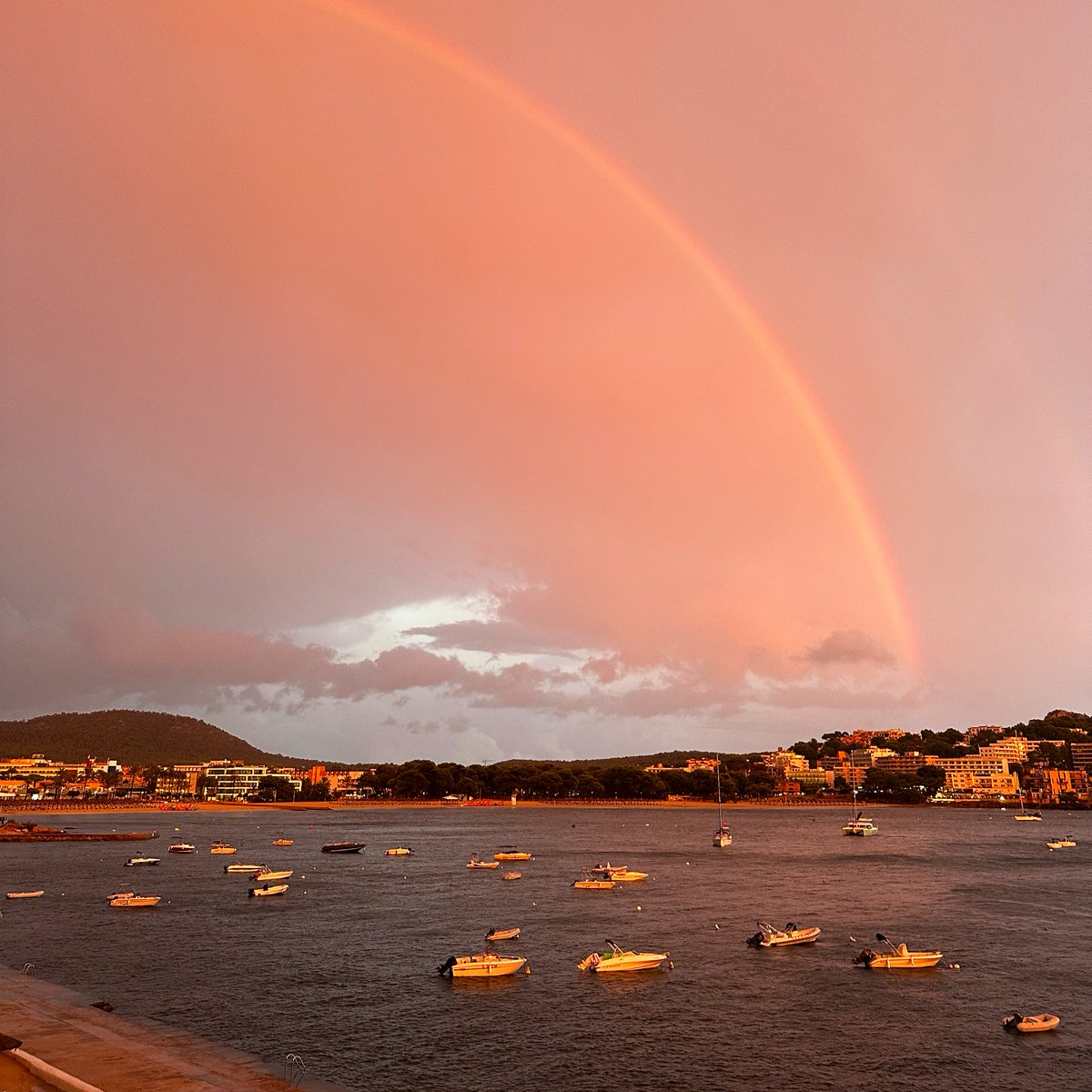 SusMallorca tweet media