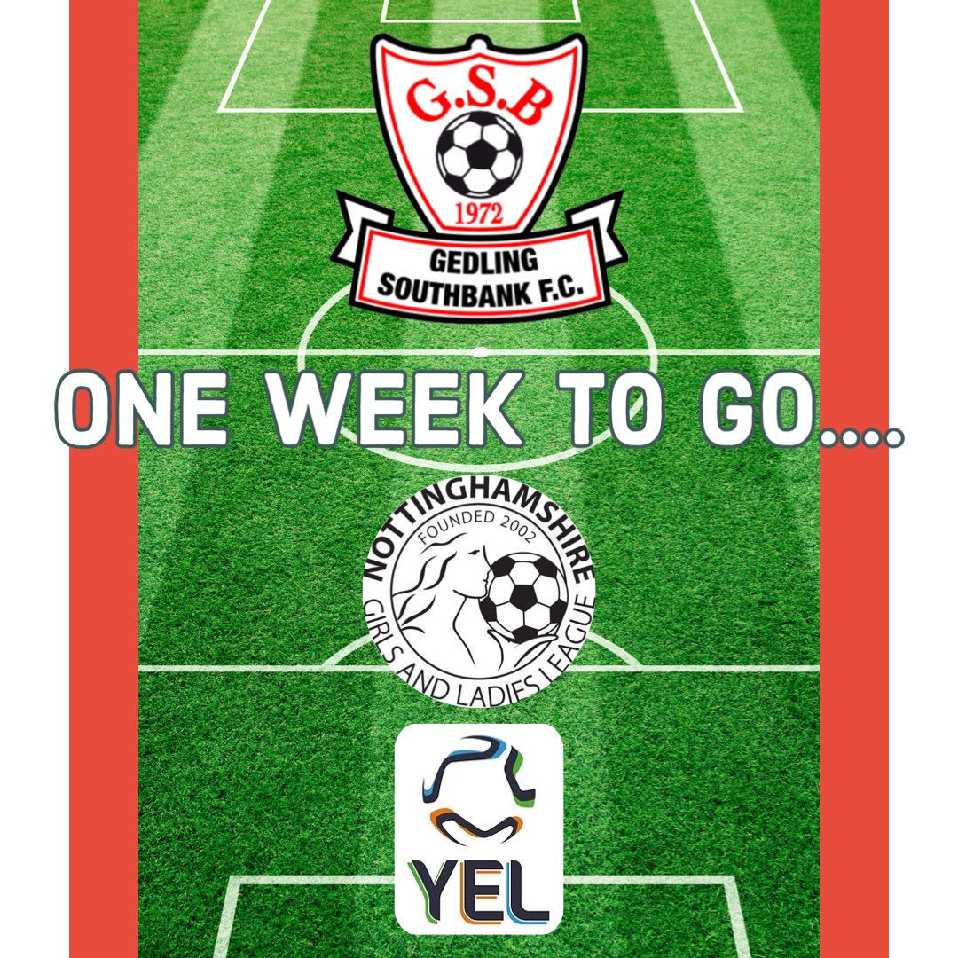 Gedling Southbank FC Girls & Ladies ⚽️🔴⚪ tweet media