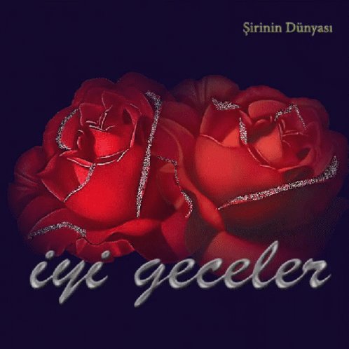 @Chef_6134 @aysedogan1955 @sondirG27 @1yhy11 @uziTURGttinta @1mavibere_li @ReisinNeferi__ @abanDALI2 @Ceylan___Fatma @____Sar____ @EmrahCEBIROGLU @DndTanr1 @Zafer___06 @etkim21 @UgurGokmen0606 @__asihatun__1 @intifaki @lLKAY_____ @__ASK_i_DeRuN_1 @Kurtolu73585607 @YANLIZ1ADAM23 @06melihgokcek @ylmazilhan5517 @Mustafazgi @1zeynepbabur @NeslihanNazik1 @NLGNMANAV1 @muratceylan006 @alpcanitez @aksu_cengiz @TRKYEkuu2 @candir_rte @kerim82783078 @Ofluyuzda6161 @Aylin8295399345 @s15492359 @sena33503 @c6409328 @efsunasal06 @HayriyeSahin9 @HasanAy45485925 @AyBuMagnolia @Aynur5434 @efe6049 @GRL1971 @grbz6040_zeyno Çok teşekkür ederim.
Siz de Allah'a emanet olun.
Huzurlu geceler.