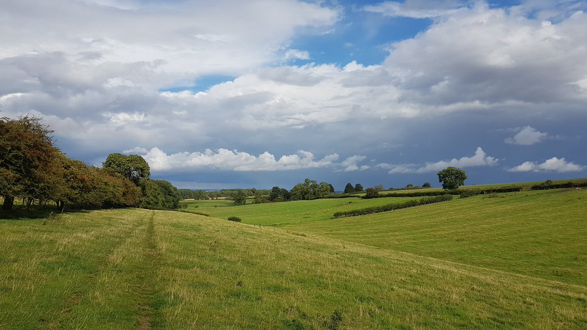 A few more from our Wold Newton wander about. It brighten up in the end. 🌦
#woldnewton #countrywalks #lincolnshirewolds