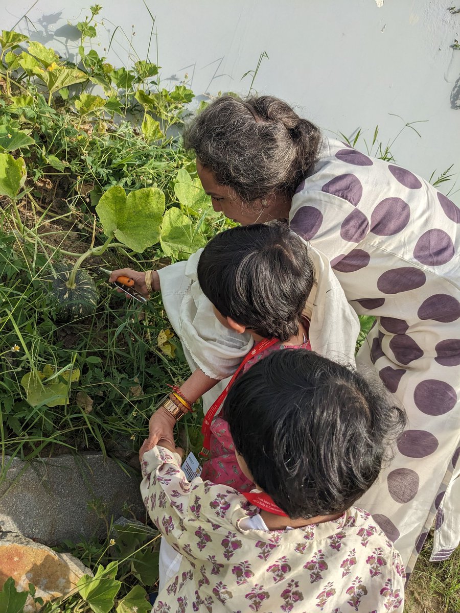Radhika73464139's tweet photo. Reaping the organic produce.....sowed by my Grandsons sometime back!!!
#plantology
#missionfalvan
#growyourownfood
#beorganic
#teachthemyoung https://t.co/Nx35lu9LTd
