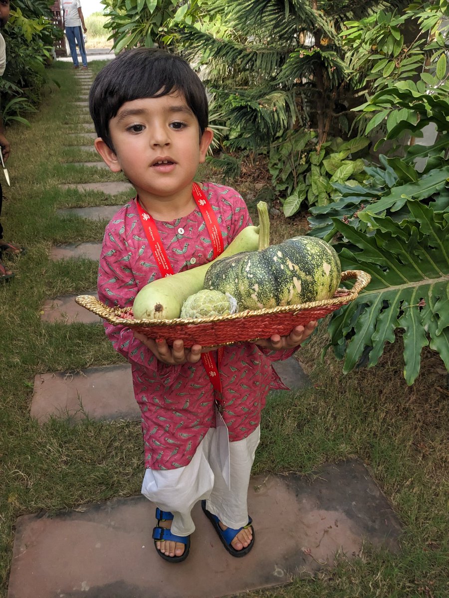 Radhika73464139's tweet photo. Reaping the organic produce.....sowed by my Grandsons sometime back!!!
#plantology
#missionfalvan
#growyourownfood
#beorganic
#teachthemyoung https://t.co/Nx35lu9LTd